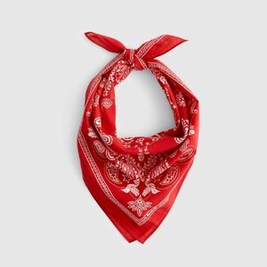 Madewell Organic Cotton Bandana